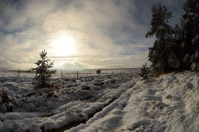 ດາວ​ໂຫຼດ​ຟຣີ Snow Woods Winter - ຮູບ​ພາບ​ຟຣີ​ຫຼື​ຮູບ​ພາບ​ທີ່​ຈະ​ໄດ້​ຮັບ​ການ​ແກ້​ໄຂ​ກັບ GIMP ອອນ​ໄລ​ນ​໌​ບັນ​ນາ​ທິ​ການ​ຮູບ​ພາບ​