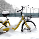 Snowy Ofo Bicycle  screen for extension Chrome web store in OffiDocs Chromium