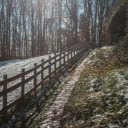 Snowy Pathway Along a Forest in Winter  screen for extension Chrome web store in OffiDocs Chromium