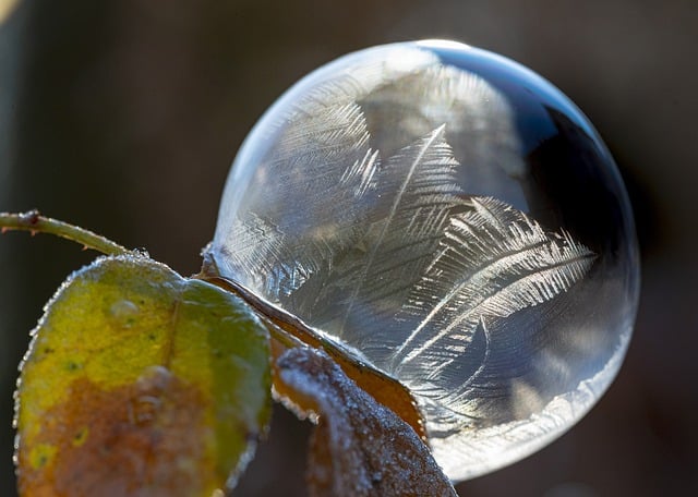 Free download soap bubble frozen macro free picture to be edited with GIMP free online image editor