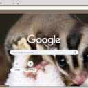 Soc Bay  screen for extension Chrome web store in OffiDocs Chromium