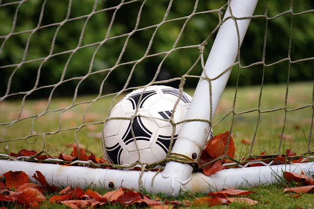 Free download soccer gate fall autumn leaves free picture to be edited with GIMP free online image editor