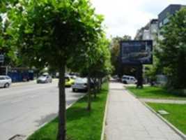Free download SOFIA, POZ 130 free photo or picture to be edited with GIMP online image editor