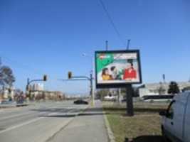 Free download SOFIA, POZ 78 free photo or picture to be edited with GIMP online image editor