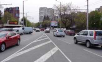 Free download SOFIA POZ L 554 free photo or picture to be edited with GIMP online image editor