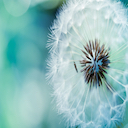 Soft Beauty  screen for extension Chrome web store in OffiDocs Chromium