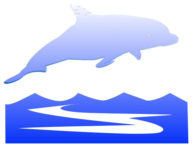 Free download Soft Dolphin Sea -  free illustration to be edited with GIMP free online image editor