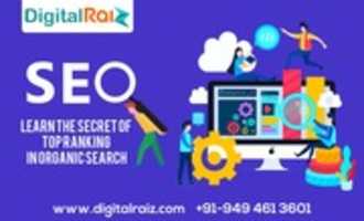 Free download Software development openings are providing like mobile app, web app | Digital Raiz free photo or picture to be edited with GIMP online image editor