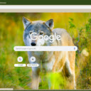 Soi  screen for extension Chrome web store in OffiDocs Chromium