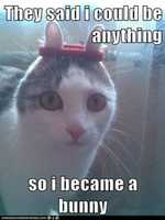 Free download So I Became A Bunny free photo or picture to be edited with GIMP online image editor