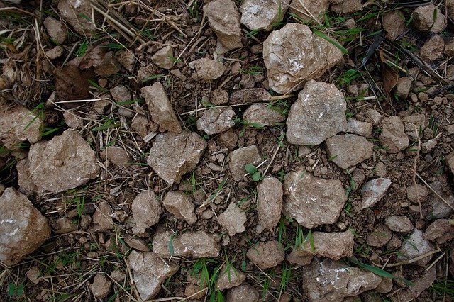 Free download Soil Rocks Field -  free free photo or picture to be edited with GIMP online image editor
