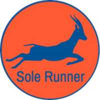 Free download Sole Runner free photo or picture to be edited with GIMP online image editor