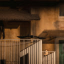 Solitary Crow Gliding Above Urban Balcony  screen for extension Chrome web store in OffiDocs Chromium