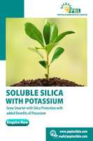 Free download Soluble Silica free photo or picture to be edited with GIMP online image editor