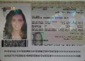 Free download Somaya Darwesh free photo or picture to be edited with GIMP online image editor