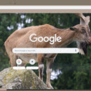Son Duong  screen for extension Chrome web store in OffiDocs Chromium