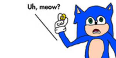 Free download Sonic The Hedgehog Saying, Uh, Meow? free photo or picture to be edited with GIMP online image editor