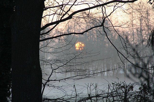 ดาวน์โหลดฟรี Sonnenaufgang Sunrise Winter - ภาพถ่ายหรือภาพฟรีที่จะแก้ไขด้วยโปรแกรมแก้ไขรูปภาพออนไลน์ GIMP