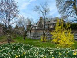 Free download sonnenberg-orchid-show free photo or picture to be edited with GIMP online image editor