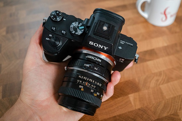Free download sony alpha 7 iii analog lens adapter free picture to be edited with GIMP free online image editor