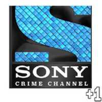 Free download sonycrime+1 free photo or picture to be edited with GIMP online image editor
