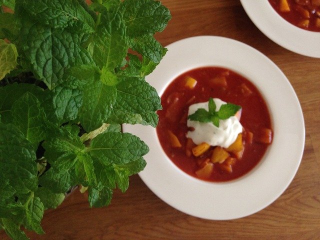 Free download Soup Tomato Basil -  free photo or picture to be edited with GIMP online image editor