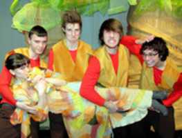 Free download Sour Kanga Monkeys free photo or picture to be edited with GIMP online image editor