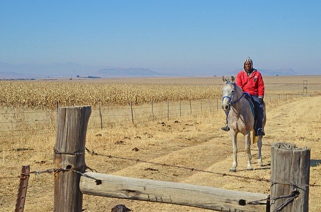 Free picture South Africa Horse Rider -  to be edited by GIMP free image editor by OffiDocs