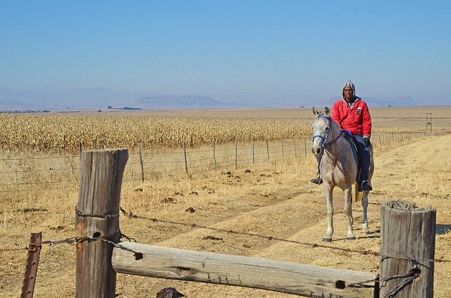 Download grátis South Africa Horse Rider - foto ou imagem grátis para ser editada com o editor de imagens online GIMP