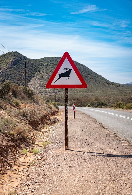 Téléchargement gratuit de l'image gratuite du paysage routier de la route 62 de l'Afrique du Sud à éditer avec l'éditeur d'images en ligne gratuit GIMP