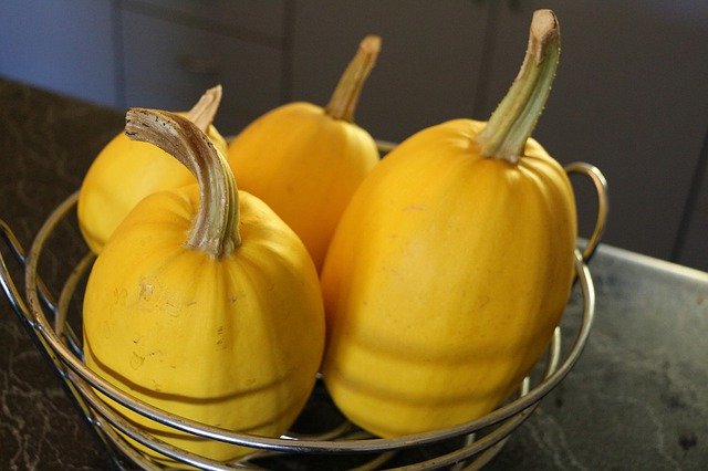 Free picture Spaghetti Squash Homegrown -  to be edited by GIMP free image editor by OffiDocs