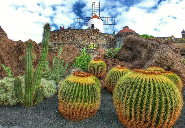 Free download Spain Lanzarote Jardin De Cactus -  free photo or picture to be edited with GIMP online image editor
