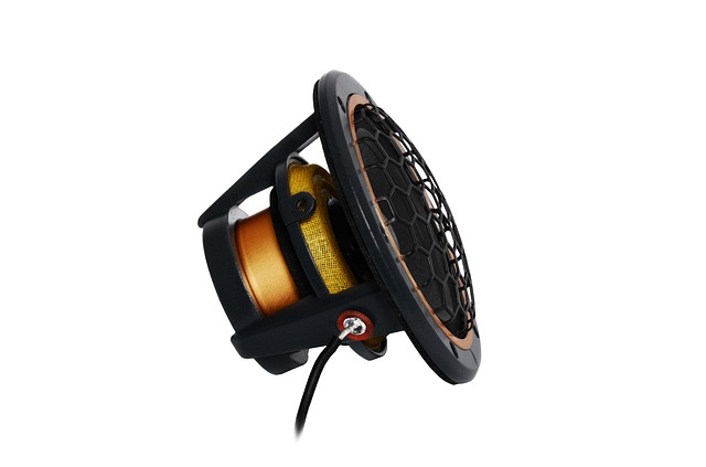 Free download speaker fullrange dominations es no free picture to be edited with GIMP free online image editor