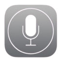 SpeechFlow  screen for extension Chrome web store in OffiDocs Chromium