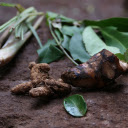 Spice root  screen for extension Chrome web store in OffiDocs Chromium