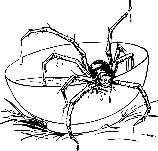 Darmowe pobieranie Pająk Miska Czarno-Biały - Darmowa grafika wektorowa na Pixabay darmowa ilustracja do edycji za pomocą GIMP darmowy edytor obrazów online