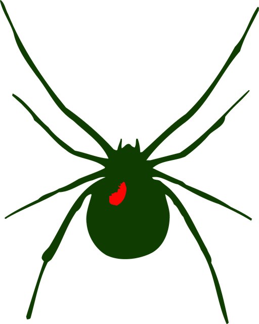 Free download Spider Green Insect -  free illustration to be edited with GIMP free online image editor