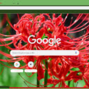 Spider Lily  screen for extension Chrome web store in OffiDocs Chromium
