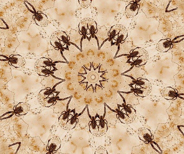 دانلود رایگان Spiders Orbits Aged - تصویر رایگان قابل ویرایش با ویرایشگر تصویر آنلاین رایگان GIMP