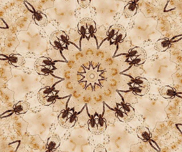 Free download Spiders Orbits Aged -  free illustration to be edited with GIMP free online image editor