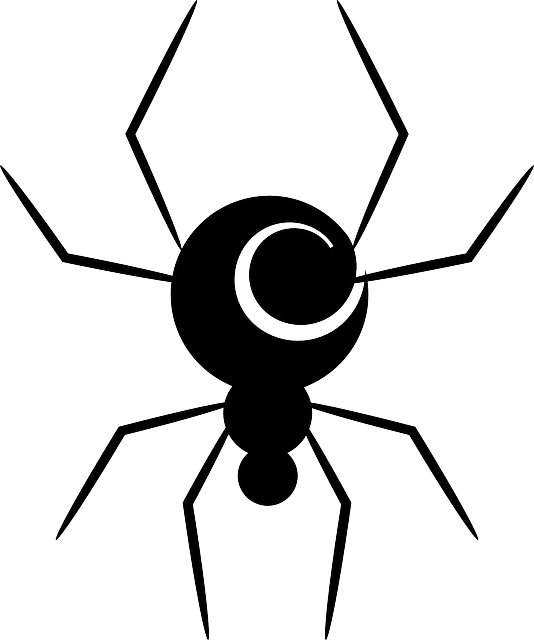 Free download Spider Spiral Swirl - Free vector graphic on Pixabay free illustration to be edited with GIMP free online image editor