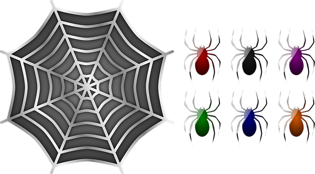 Download gratuito Spiders Spider Web - illustrazione gratuita da modificare con l'editor di immagini online gratuito di GIMP