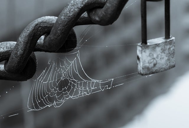 Free download spider web dewdrop filigree padlock free picture to be edited with GIMP free online image editor
