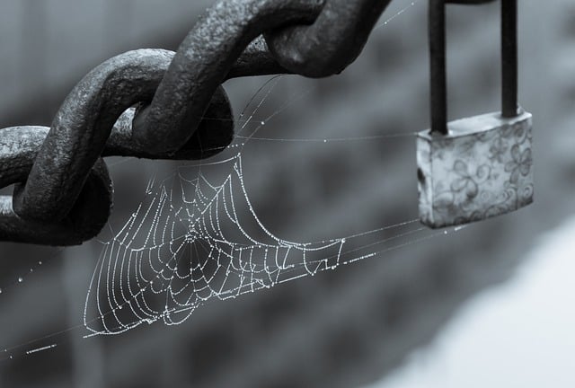 Libreng download spider web dewdrop filigree padlock libreng larawan na ie-edit gamit ang GIMP libreng online na editor ng imahe