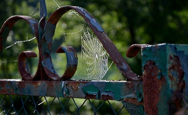 Unduh gratis Spider Web Rusty Fence Nature - foto atau gambar gratis untuk diedit dengan editor gambar online GIMP