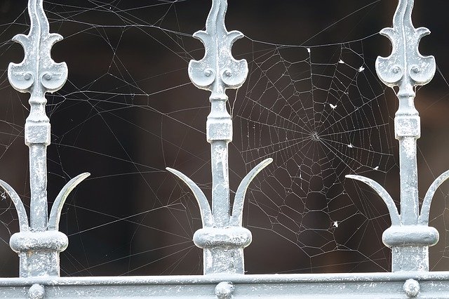 Free download Spider Webs Iron Wrought -  free photo or picture to be edited with GIMP online image editor