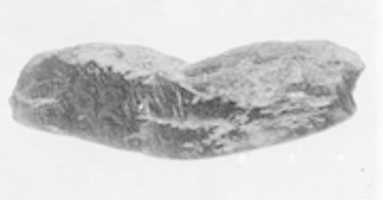 Free download Splinter free photo or picture to be edited with GIMP online image editor