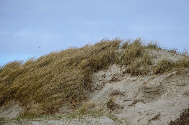 Descarga gratuita Spo Dune Schleswig: foto o imagen gratuita para editar con el editor de imágenes en línea GIMP
