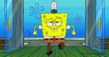 Free download Spongebob Squarepants Xs free photo or picture to be edited with GIMP online image editor