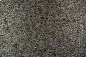 Free download Sponge Macro free photo or picture to be edited with GIMP online image editor